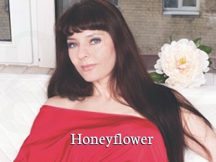 Honeyflower