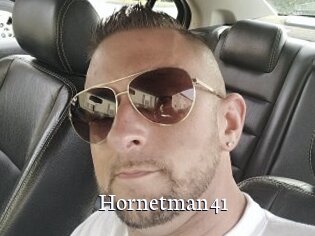 Hornetman41