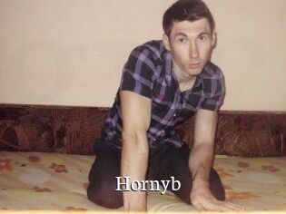 Hornyb