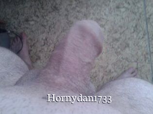 Hornydan1733