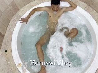 Hornywildboy