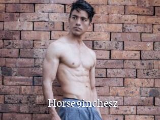 Horse9inchesz