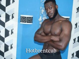 Hotbrentcub