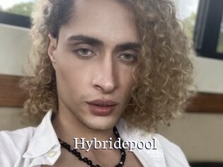 Hybridepool