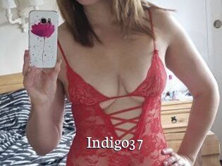 Indigo37