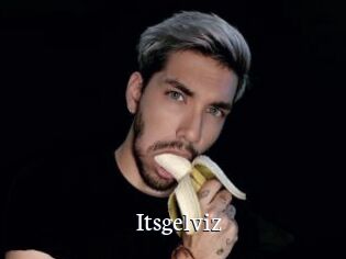 Itsgelviz