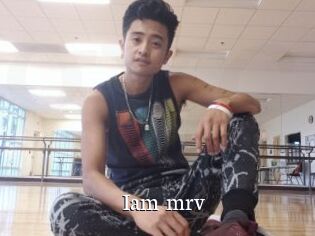 Iam_mrv