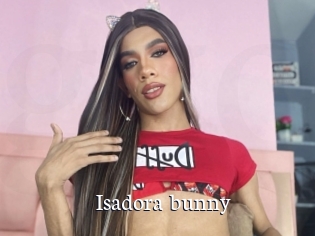 Isadora_bunny