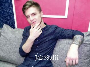 JakeSulii