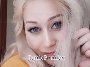 JamieBornfox