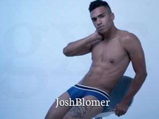 JoshBlomer