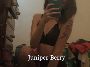Juniper_Berry
