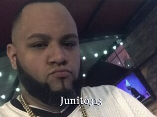 Junito313