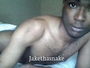 Jake_tha_snake