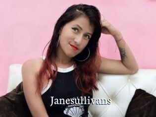 Janesullivans