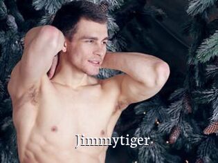 Jimmytiger