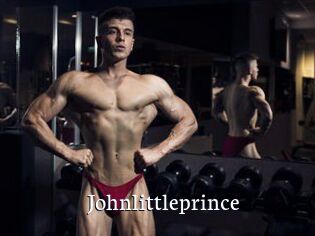 Johnlittleprince