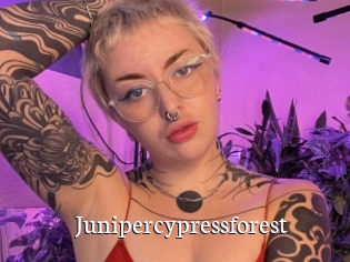 Junipercypressforest
