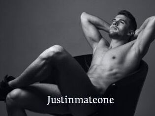 Justinmateone