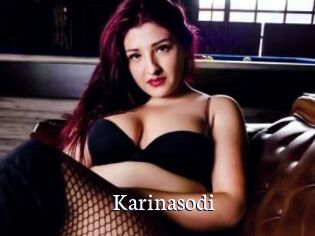 Karinasodi