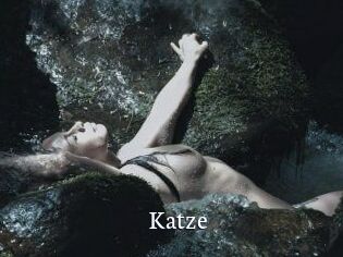 Katze
