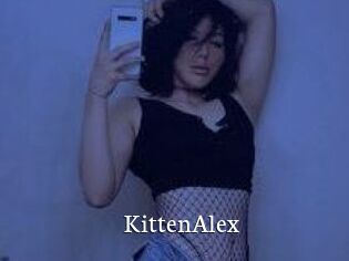 KittenAlex