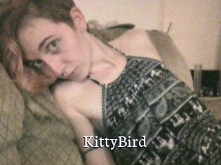 KittyBird