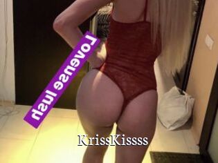 KrissKissss