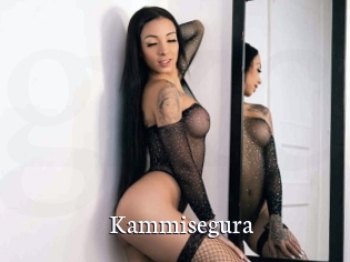 Kammisegura