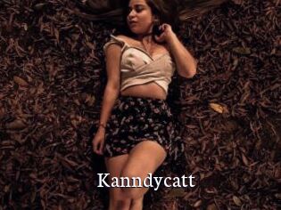 Kanndycatt