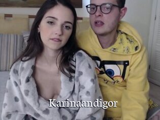 Karinaandigor
