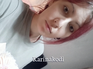 Karinakodi