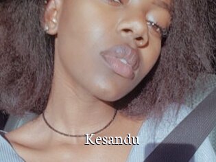 Kesandu