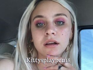 Kittysplaypen18