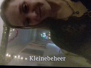 Kleinebeheer