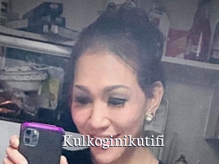 Kulkoginikutifi