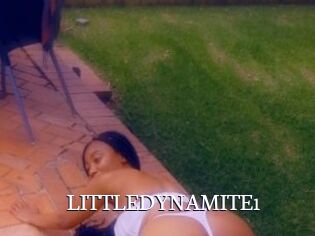 LITTLEDYNAMITE1