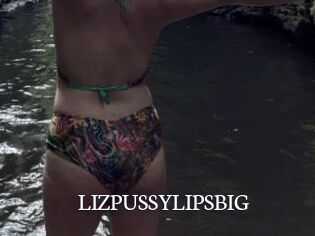 LIZPUSSYLIPSBIG