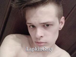 LapkinGray