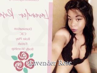 Lavender_Rose