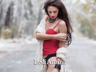 LediAmina