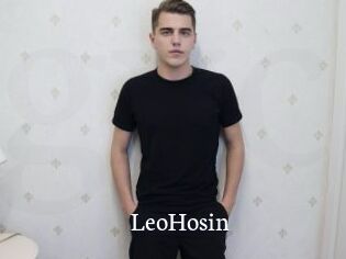 LeoHosin