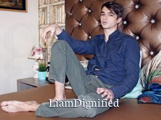 LiamDignified