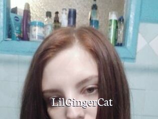 LilGingerCat