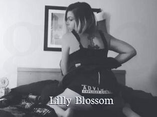 Lilly_Blossom