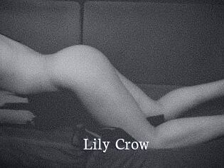 Lily_Crow