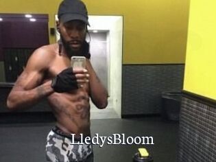 Lledys_Bloom