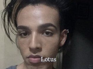 Lotus