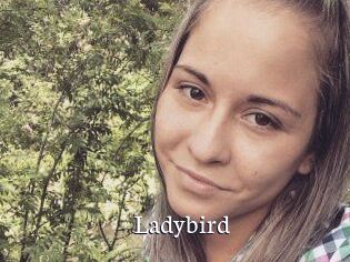 Ladybird