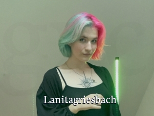 Lanitagriesbach